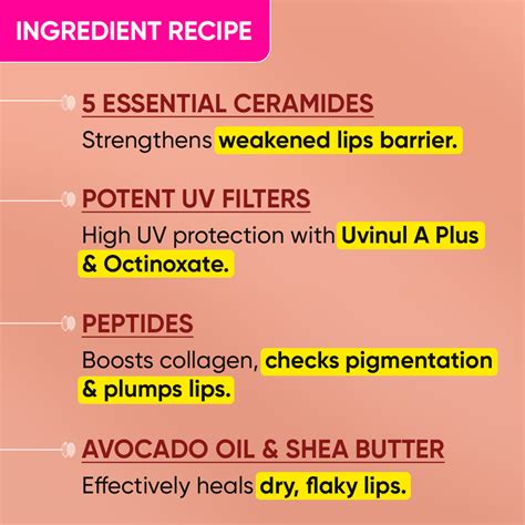 Ceramide + Peptide Lip Balm SPF 50+ PA+++ (Tinted) – Dot & Key