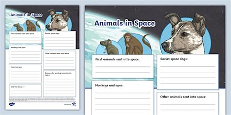 Alien Fact File Worksheet 的图像结果