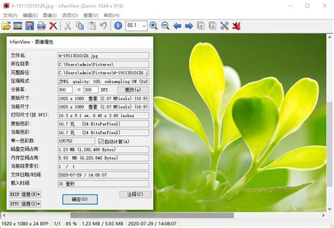 IrfanView 64 的图像结果