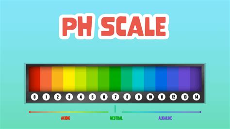 PH Scale Explained 的图像结果