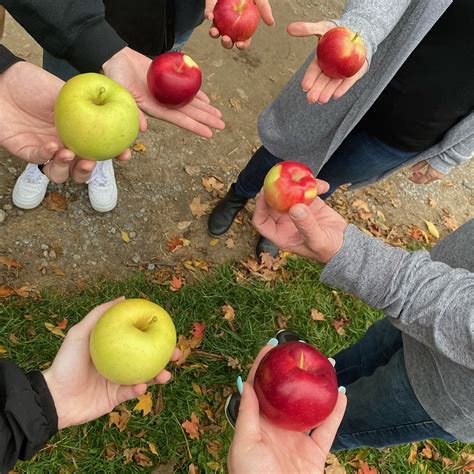 MOORE ORCHARDS (2026) All You Need to Know BEFORE You Go (with Photos ...
