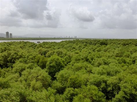 Top 7 Reasons to Buy a Home in Airoli in 2025 - Dwello