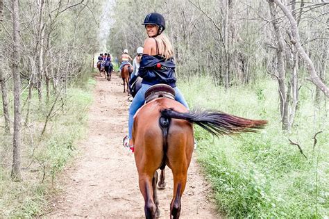 Vineyard Trail Horse Riding in Hunter Valley - Klook India