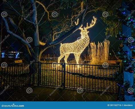 Reindeer Display at the Detroit Zoo Light Show Christmas Lights Holiday ...