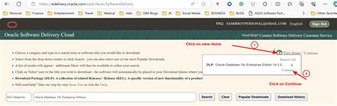 Oracle Client 19C 的图像结果