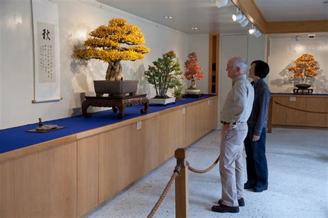 Copy of The Museum — National Bonsai Foundation