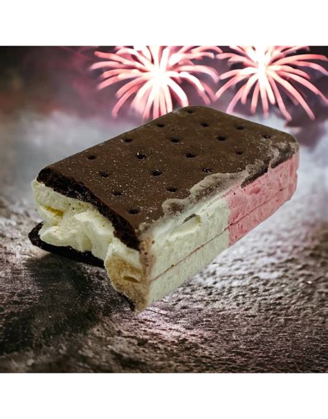 Luvyduvy Astronaut Neapolitan Ice Cream Sandwich - Camera Concepts ...
