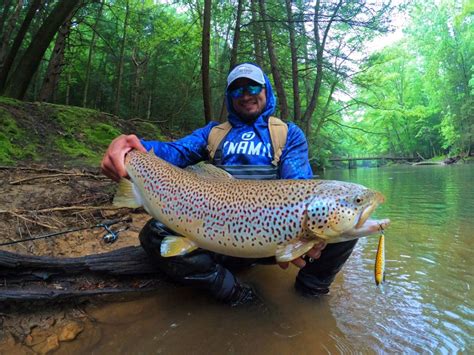 Basic Trout Fishing Techniques: How Successful Young Anglers Catch ...