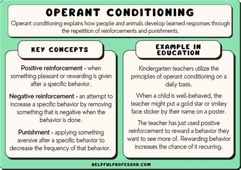 Image result for Quadrants of Operant Conditioning