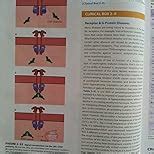Ganong's Review of Medical Physiology