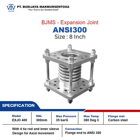 BJMS EXJO Expansion Joint ANSI 300 - 8 Inch | BJMSONLINE.COM