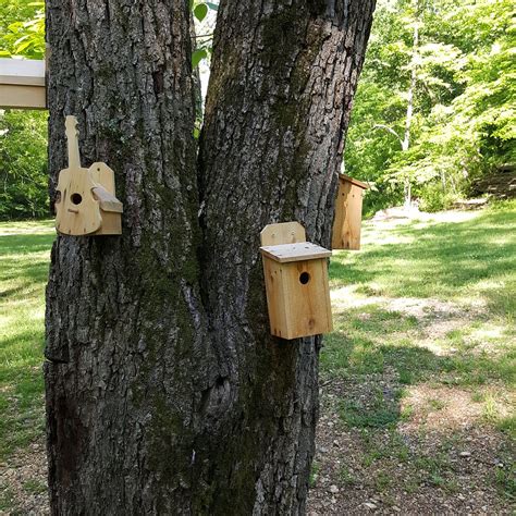 BLOWING SPRINGS PARK AND ARBORETUM (2026) All You Need to Know BEFORE ...