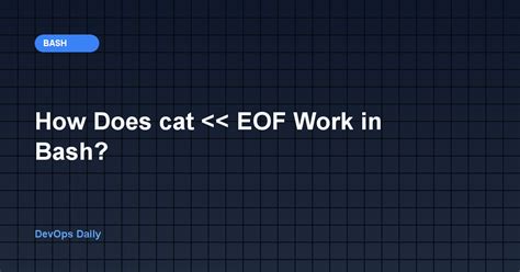 How to Create Eof in Bash Script 的图像结果