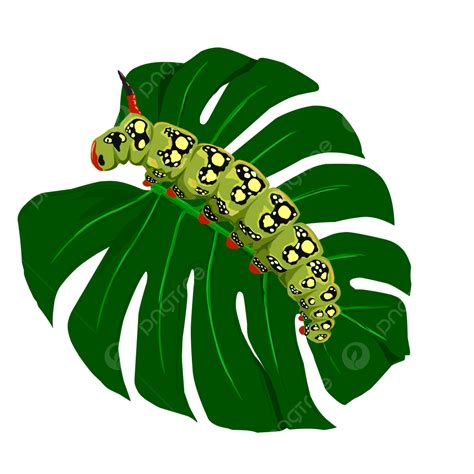 Caterpillar On A Leaf Clipart Caterpillar And The Leaf
