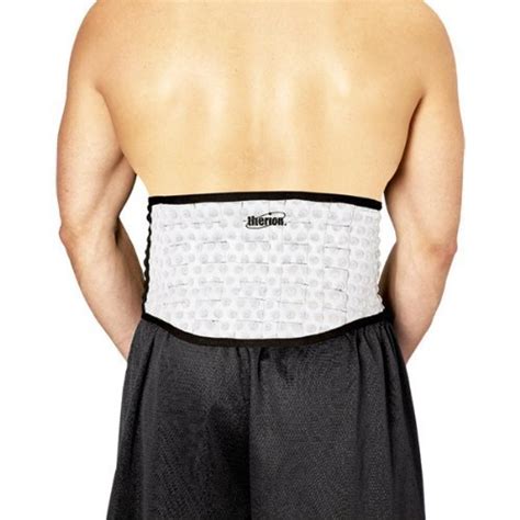 Buy Therion Platinum MTR Magnetic Back Support : Platinum - Low Back ...