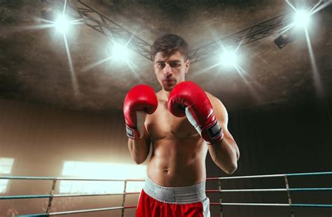 Professional Boxing 的图像结果