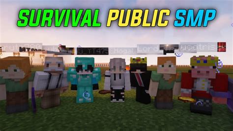 Joignable SMP Java 的图像结果