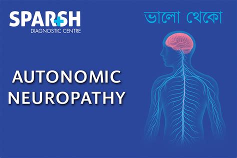 EEG (Electroencephalogram): A Complete Guide to the Brain-Wave Test - Sparsh Diagnostic Center