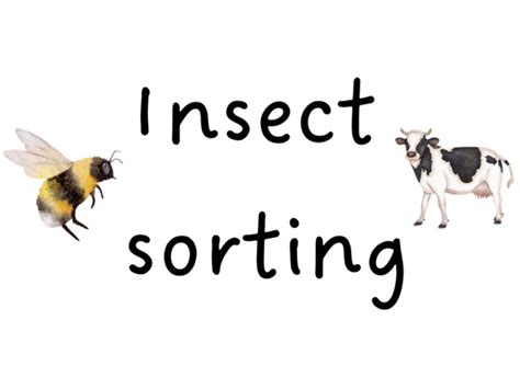 Image result for Insect Sorting