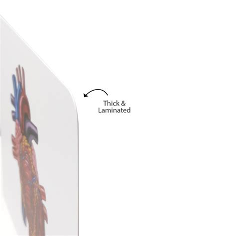 Organs of the Body Flashcards for Kids | Body Parts Flashcards – Brainsmith