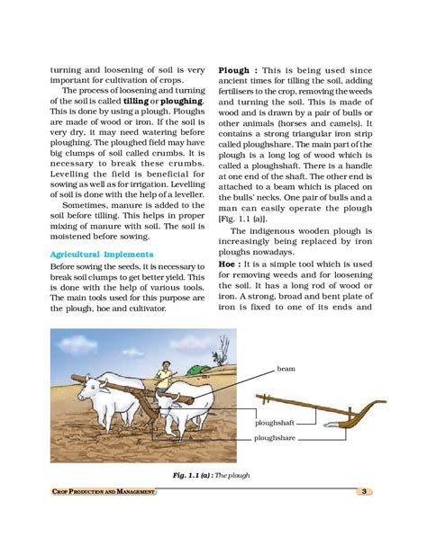 Class 8 Science Video Chapter 1 的图像结果