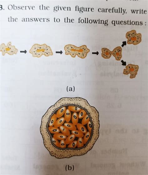 1) identify the organism given in the figure 2) state the mode of ...