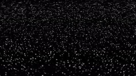 Particle Motion Graphics 的图像结果