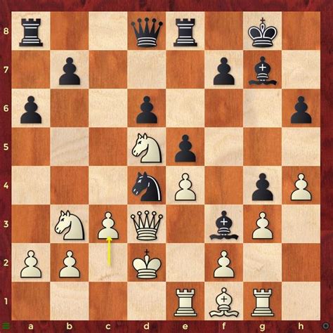 Vignesh N R becomes India's 80th and first Grandmaster brothers with ...