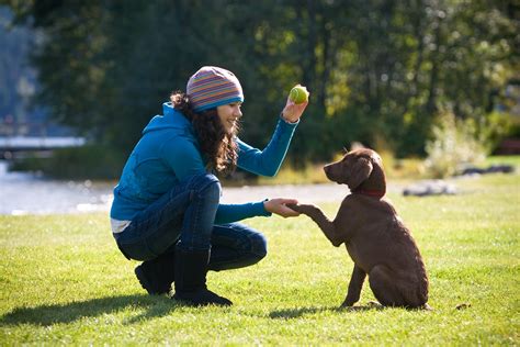 How Pet Psychology Helps Us Understand Our Four-Legged Companions In A ...