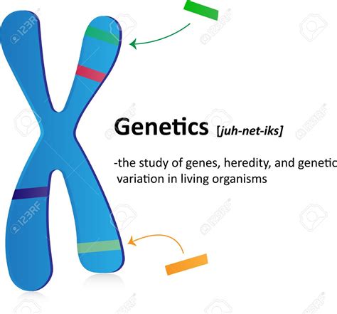 Genetics 的图像结果