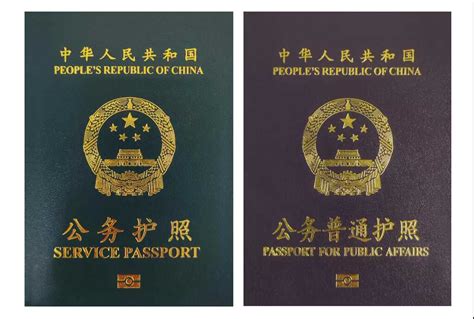河南启用因公电子护照 添加个人签名留指纹空间-搜狐新闻