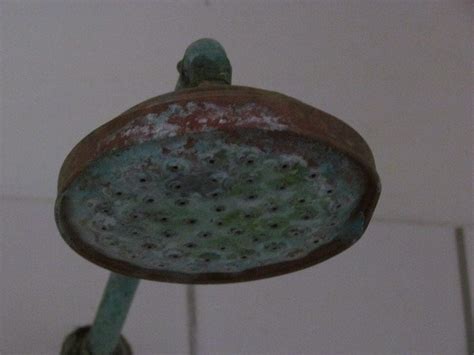 BUSH BABY SAFARIS (Grootfontein) - Campground Reviews & Photos ...