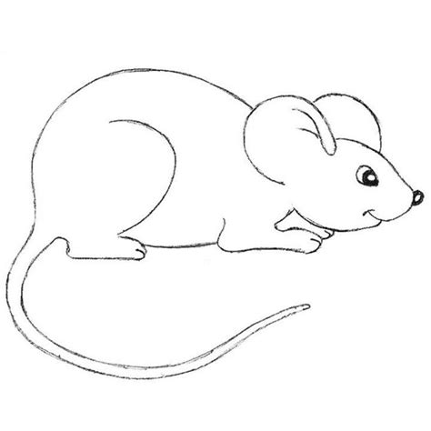 Image result for Simple Mouse Drawing