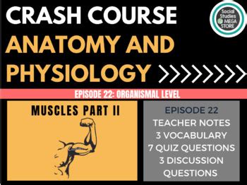 Crash Course Muscles 的图像结果