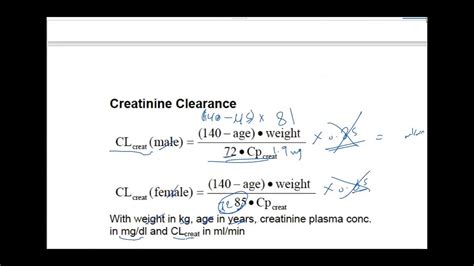 Image result for Independent Double Check Algorithm