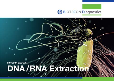 DNA RNA Extraction Process 的图像结果