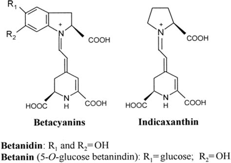 Betalains, Phenols and Antioxidant Capacity in Cactus Pear [Opuntia ...