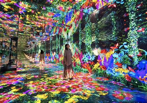 Themenpark Huis Ten Bosch öffnet interaktiven Lichtbereich