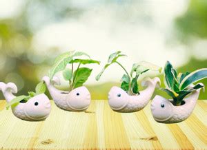 Jimkia Ceramic Plant Container, Small Fish Planter, Combo Flower Pot ...