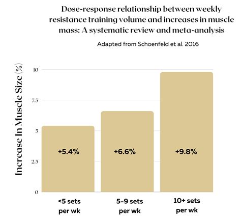 Image result for How Many Set per Muscle Group per Week