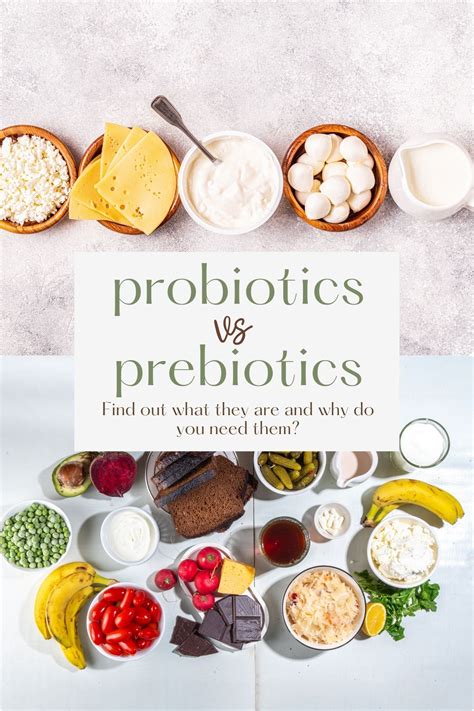 Prebiotics vs. Probiotics: Why Do You Need Them? - For Dietitians