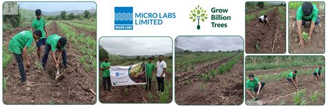 World Environment Day: Green Initiative by Micro Labs Limited – Grow ...