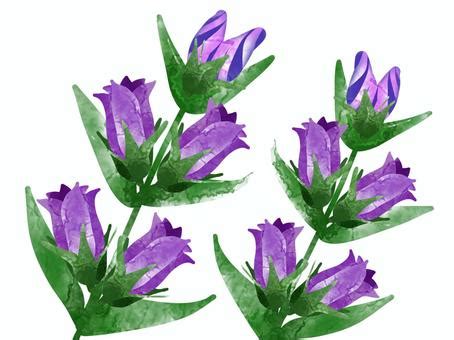 Image result for Slide Calculator JavaScript