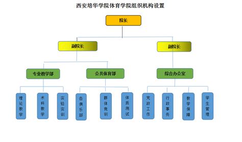 体育学院组织机构设置-西安培华学院-体育学院