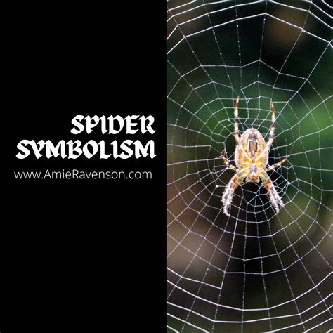 Small White Spider Symbolism at Celia Morgan blog