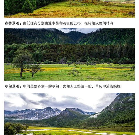 5-day Peach Blossom Season in Nyingchi, Tibet (China's most beautiful ...