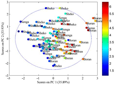 Modeling of Ethiopian Beef Meat Marbling Score Using Image Processing ...