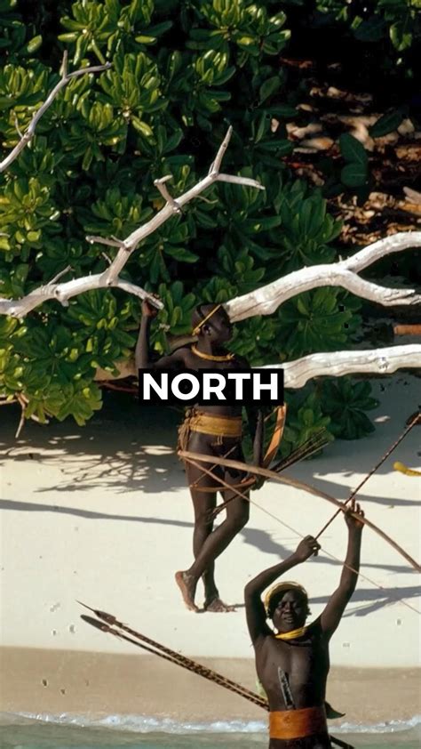 Primitive Island 的图像结果