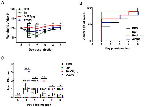 Nasal Immunization with the C-Terminal Domain of Bcla3 Induced Specific ...