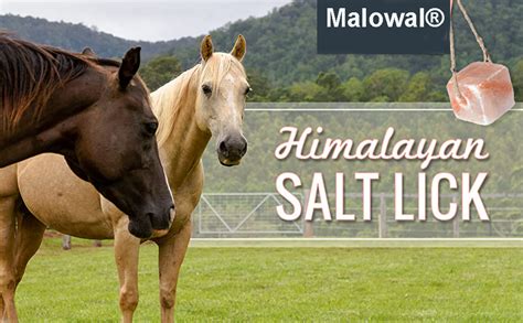 Malowal Himalayan Animal Salt Lick Pure Natural Pink Salt Block On A ...